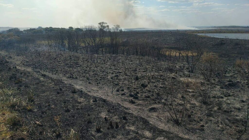 Com altas temperaturas, Santa Maria tem aumento nas ocorrências de incêndios em vegetação