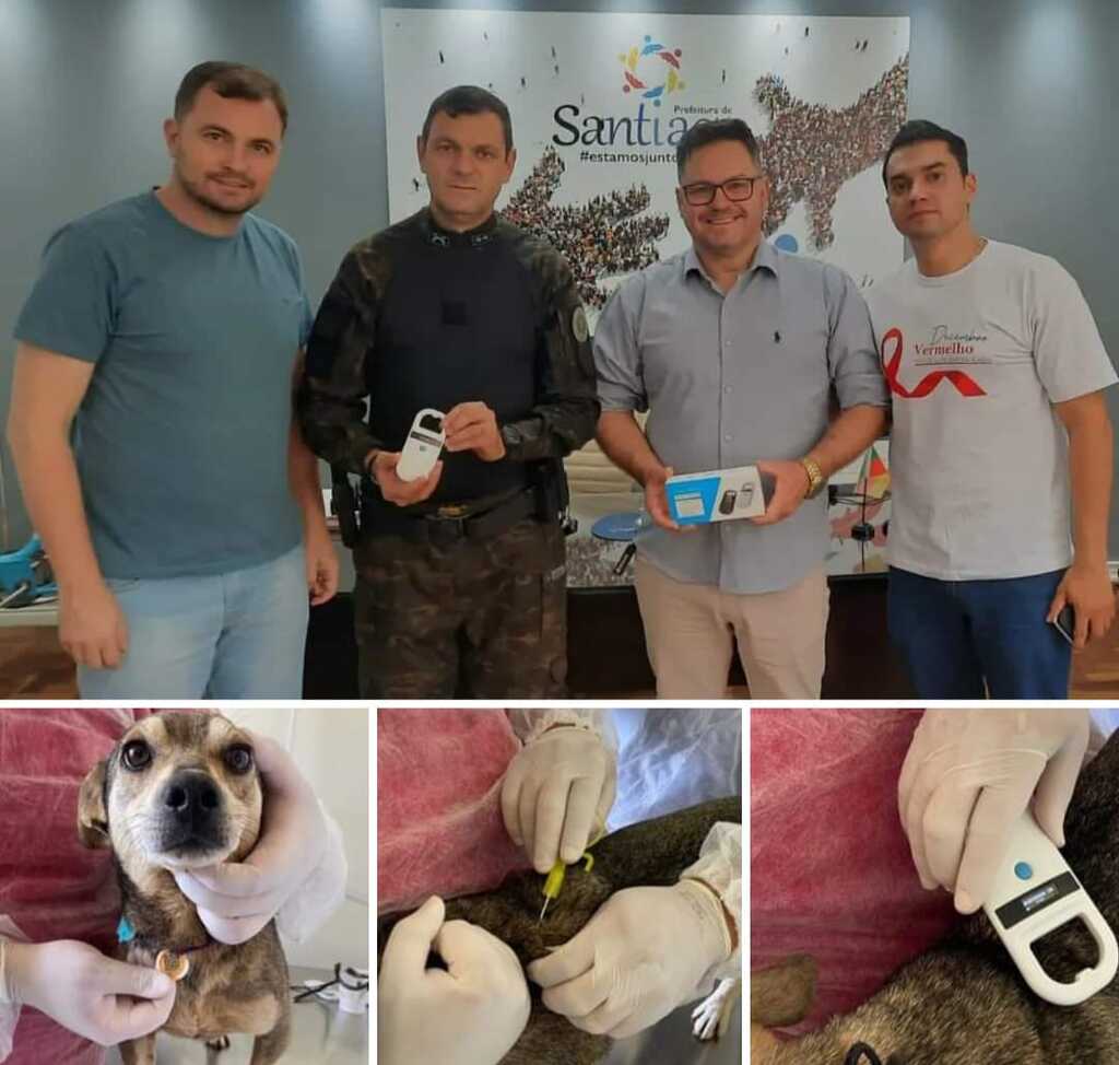Santiago começa chipagem veterinária de animais atendidos no Centro de Zoonoses