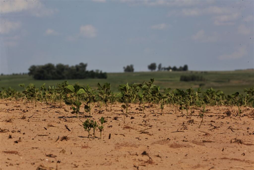 Região Central está entre as mais afetadas do Estado pela estiagem e seca em 19 anos 