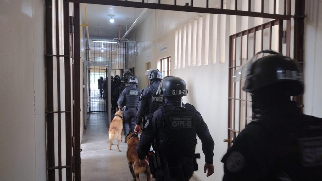 Drogas e itens de telefonia são apreendidos na Pesm durante operação nesta segunda