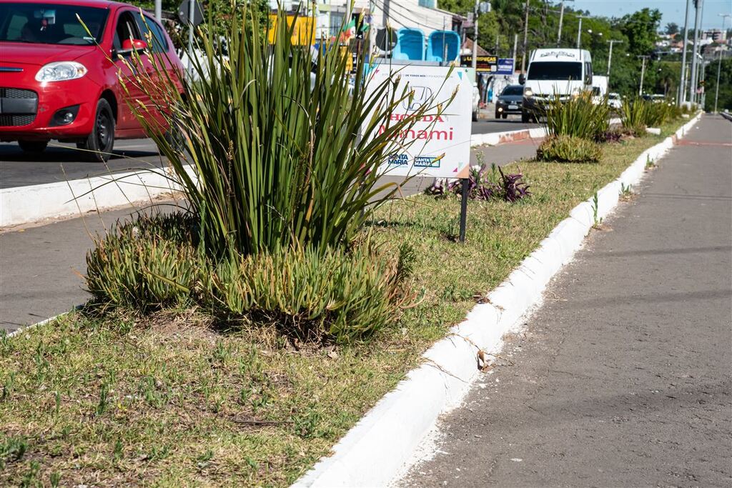 Mais de 120 canteiros estão adotados na cidade pelo programa Santa Maria de Todos Nós