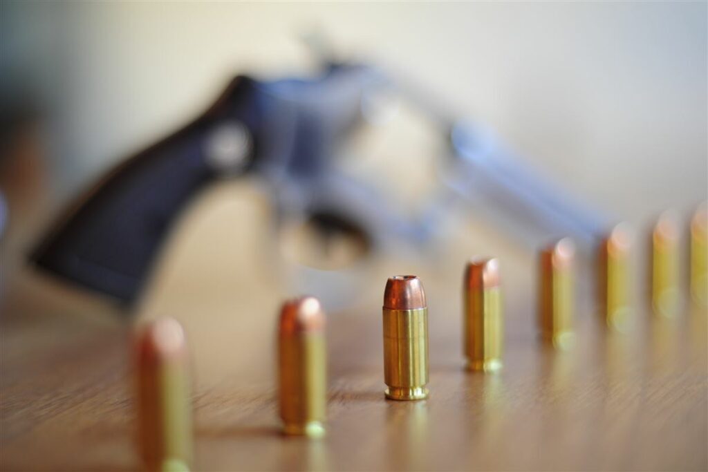 Governo de transição vai propor revogação dos decretos de armas