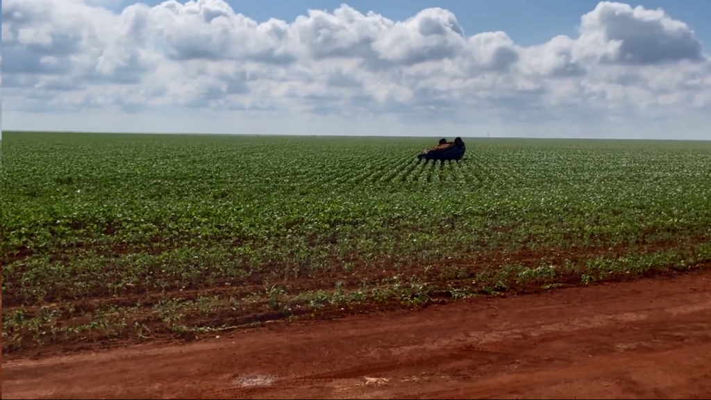 Rosariense morre após capotar carro que parou em plantação de soja no Mato Grosso