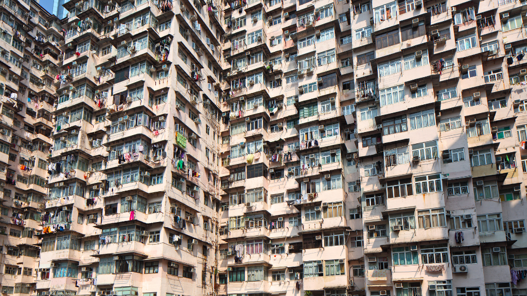 População mundial atinge a marca de 8 bilhões de pessoas nesta terça