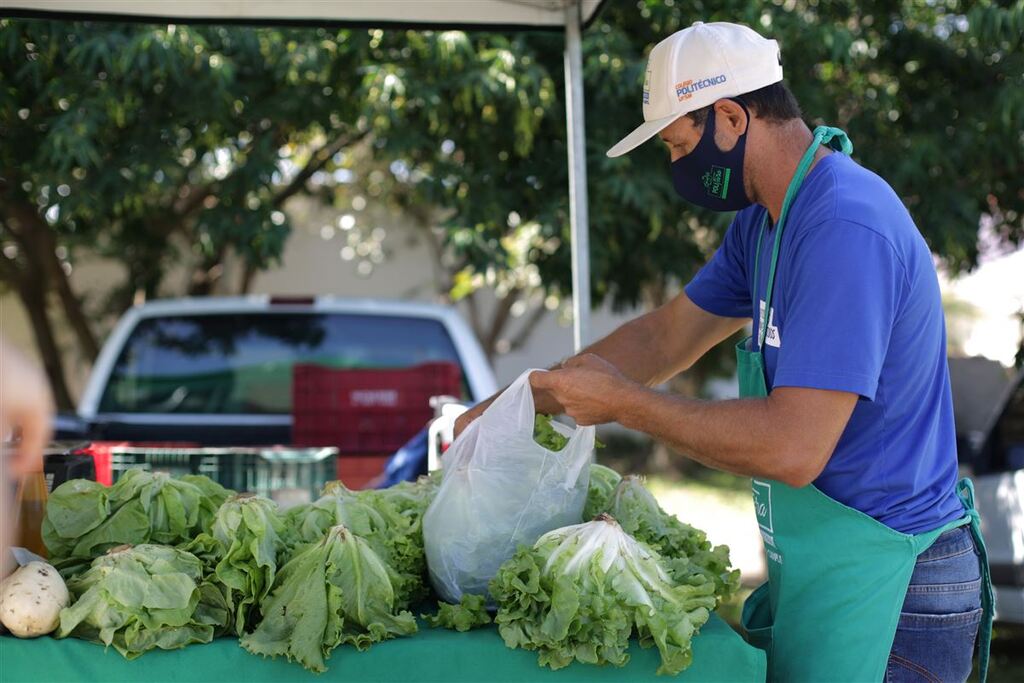 Polifeira do Agricultor fará edição com foco em hortaliças e frutas nesta terça-feira
