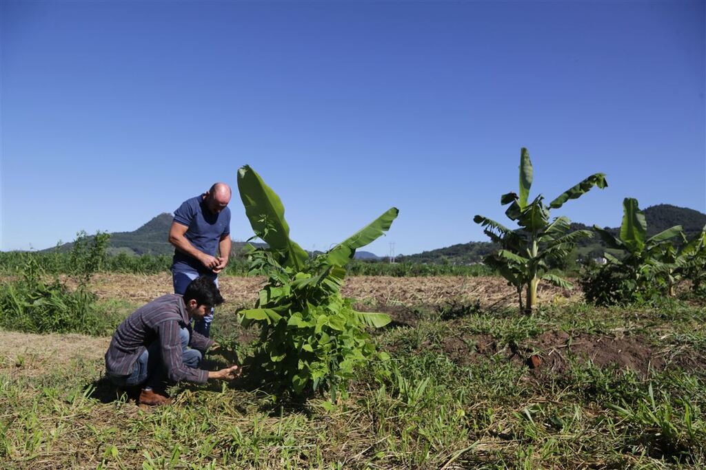 Agricultores já podem se inscrever para receber serviços do programa Irriga SM