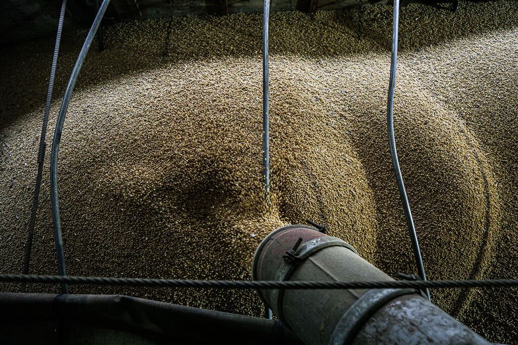 Efeito do La Niña, redução de chuvas no Sul ameaça safra de grãos nos próximos meses