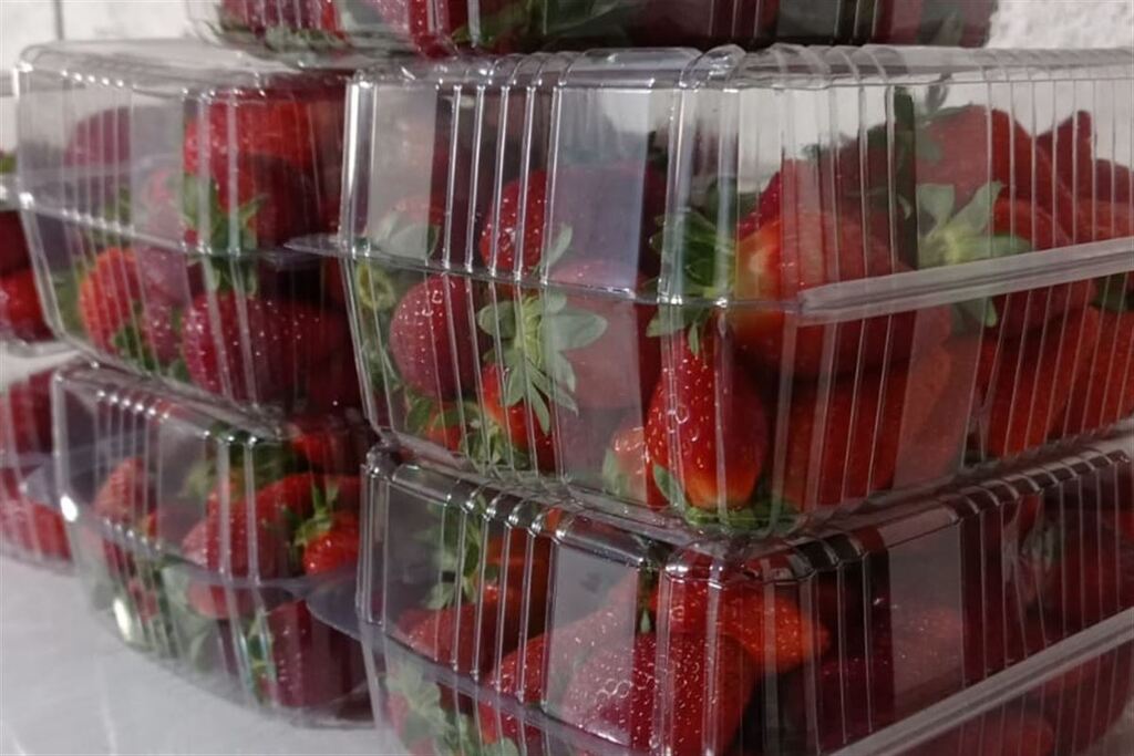 Merenda escolar de São Sepé conta com alimentos artesanais da cultura familiar