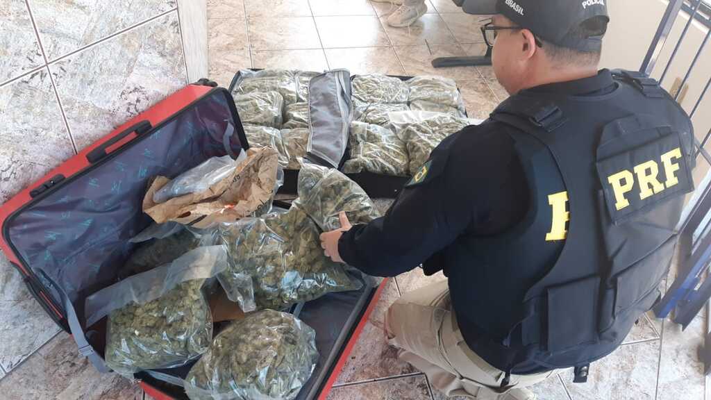 Jovem de Santa Maria é preso com carga milionária de “supermaconha” em Rosário do Sul