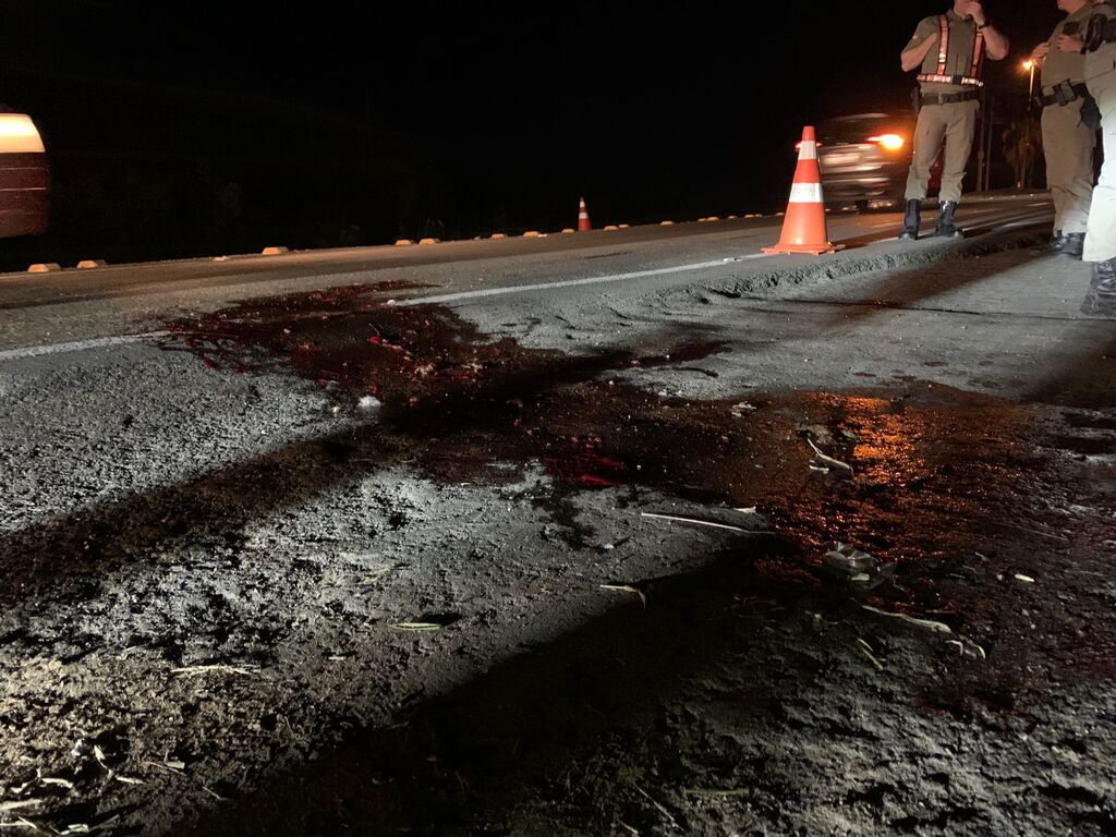 título imagem Cavalo é sacrificado após ser atropelado por viatura da BM na Faixa Nova de Camobi