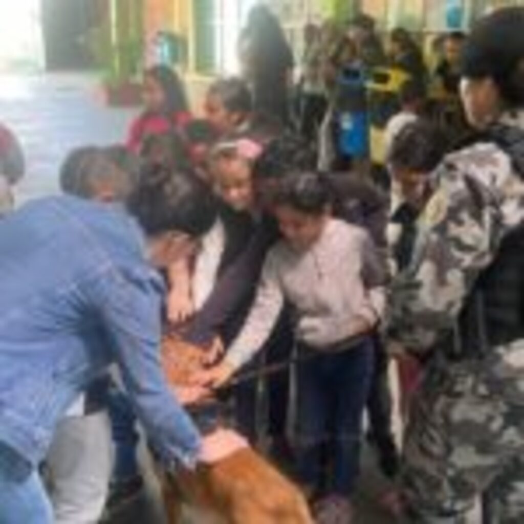 título imagem Escola Walter Jobim inicia a programação da semana da criança com interação com cachorros do BP Choque e brincadeiras