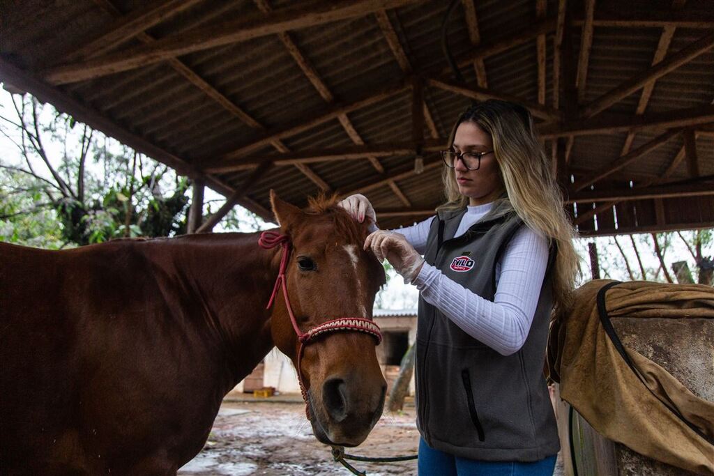 Participantes do Desfile Farroupilha de Santa Maria realizam os preparativos finais