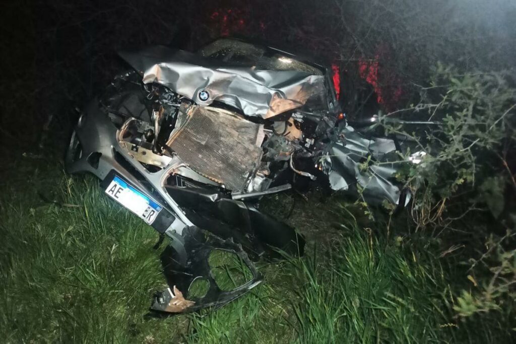 Após desviar de vaca, argentinos colidem contra caminhão na BR 290 em São Gabriel