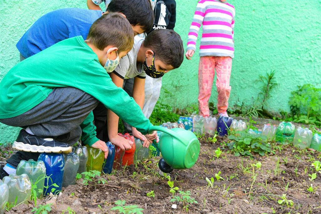Há 5 anos, horta comunitária da Escola Borges de Medeiros incentiva a alimentação saudável e cuidado com a natureza
