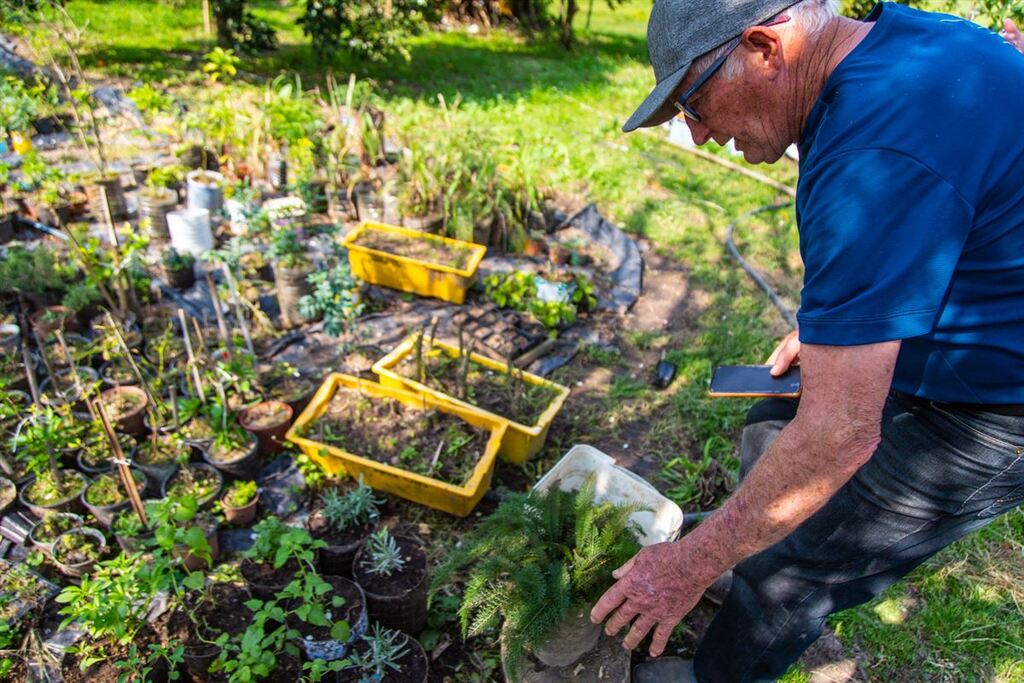 Feirante de Santa Maria recicla embalagens para vender mudas de plantas