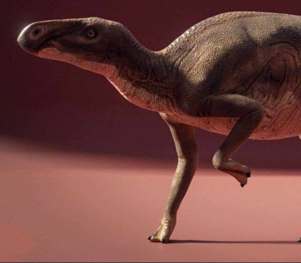 Parceria com britânicos reforça hipótese de pesquisa da UFSM