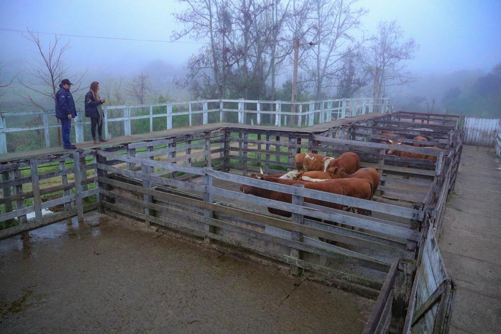 Operação interdita dois frigoríficos do RS; um é da região central do estado