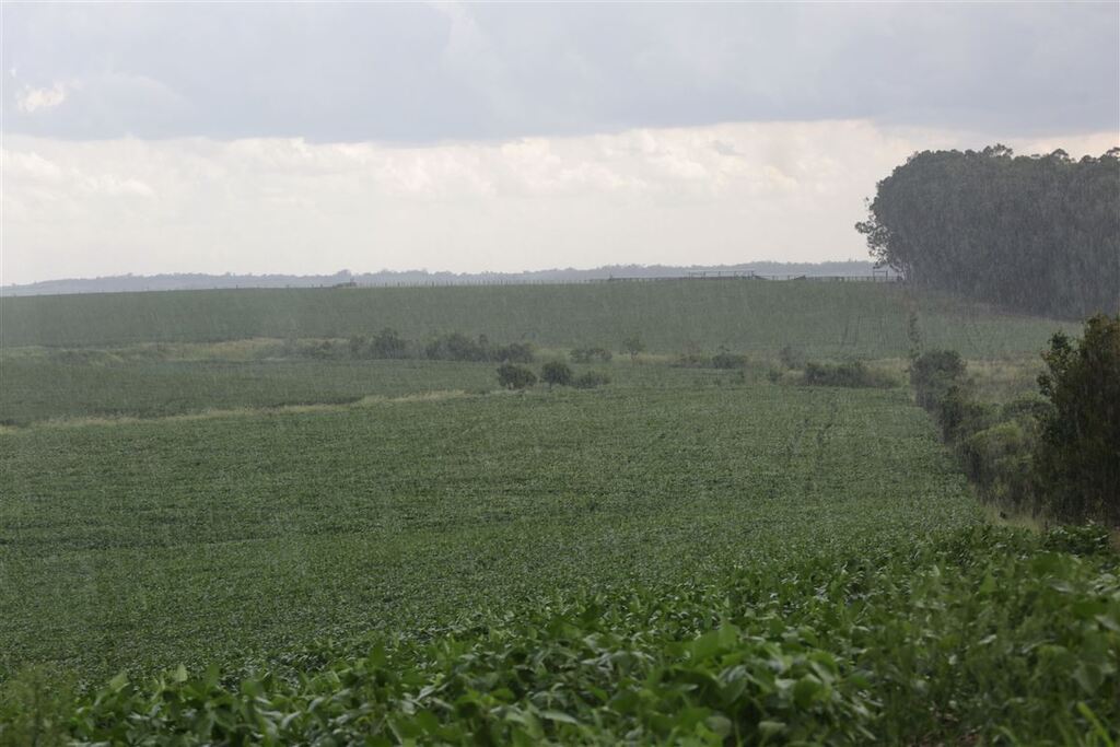 Receita Federal divulga prazo para envio da DITR 2022 