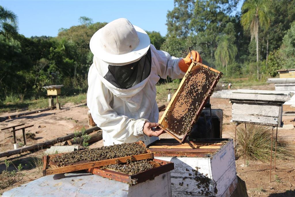 Apicultores de Santiago e região terão nova oportunidade de empréstimo