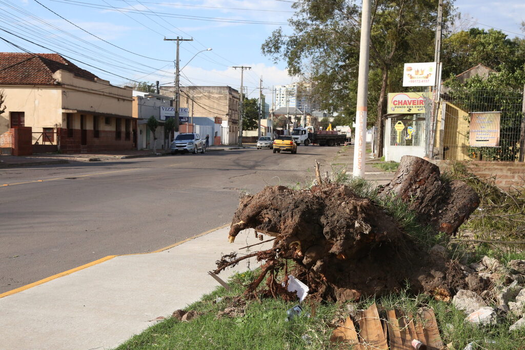 Vento de 60 km/h provoca destelhamento e queda de árvores em Santa Maria