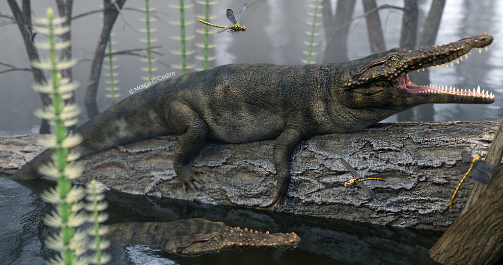 Paleontólogos da UFSM, Unipampa e PUC apresentam novo estudo envolvendo réptil de 230 milhões de anos no Estado