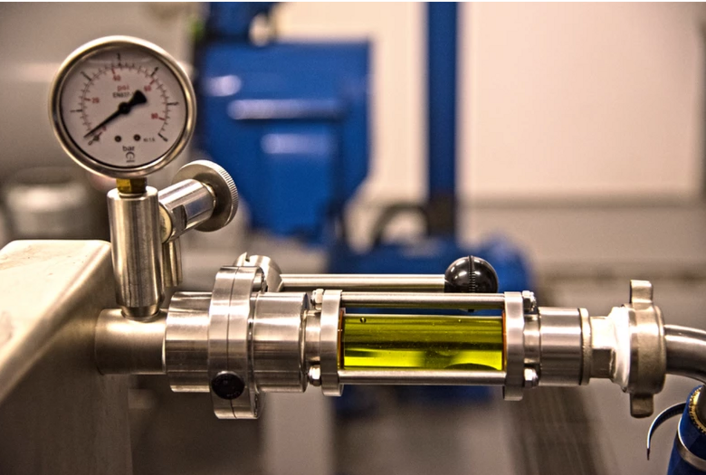 O melhor azeite condimentado do mundo é de Caçapava do Sul