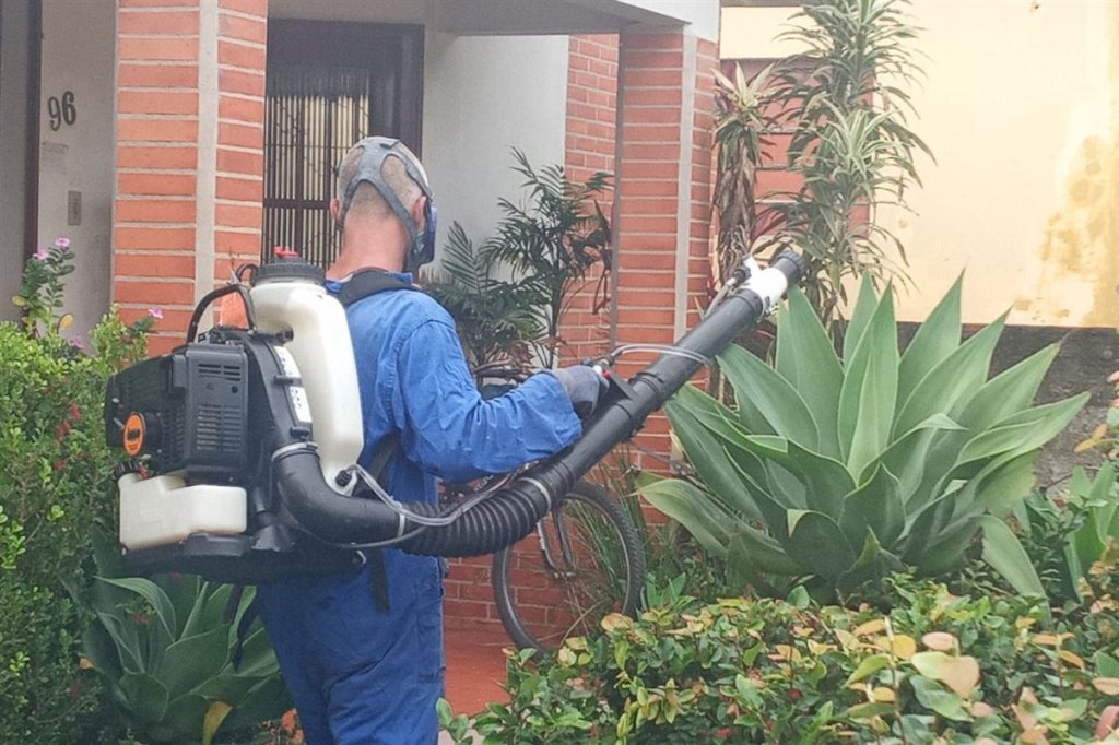 Formigueiro promove ações de desinsetização em locais com a presença do mosquito Aedes Aegypti