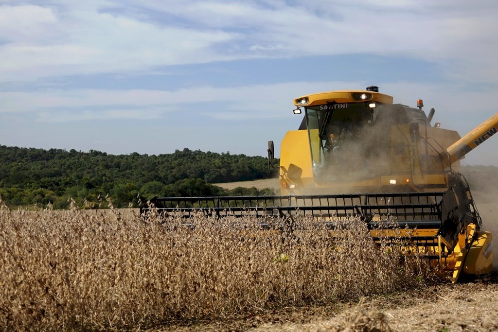 IBGE prevê safra recorde de 264,5 milhões de toneladas em 2021