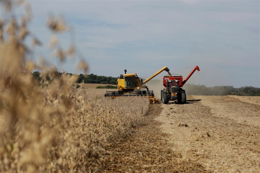 VÍDEO: safra de soja histórica deve movimentar cerca de R$ 9 bilhões na região