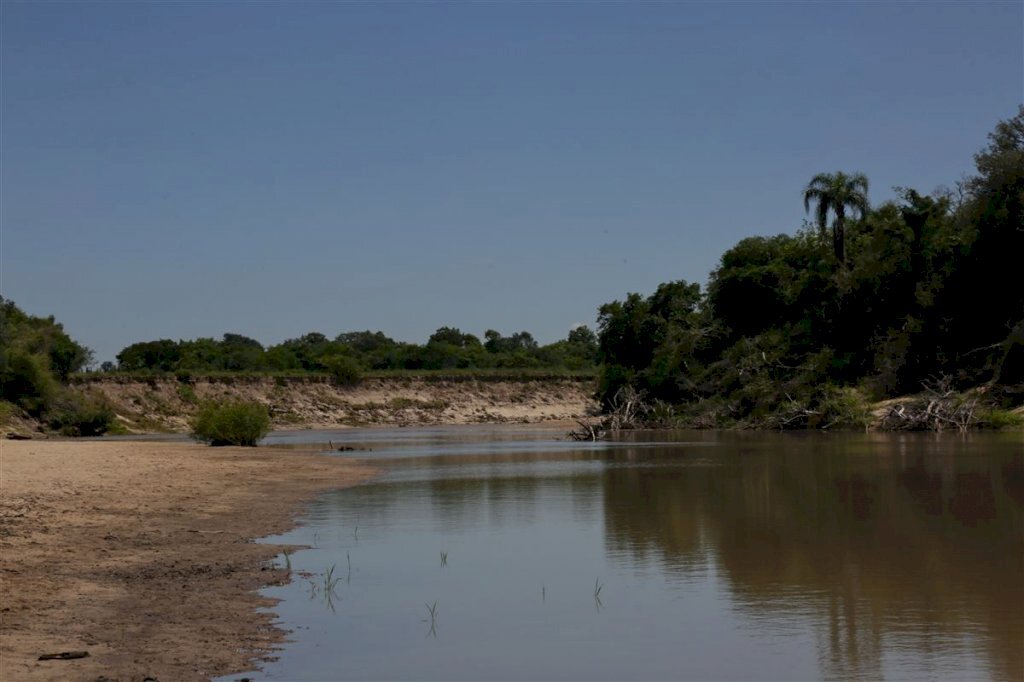 VÍDEO: em média, 15 pessoas morrem afogadas a cada ano na região