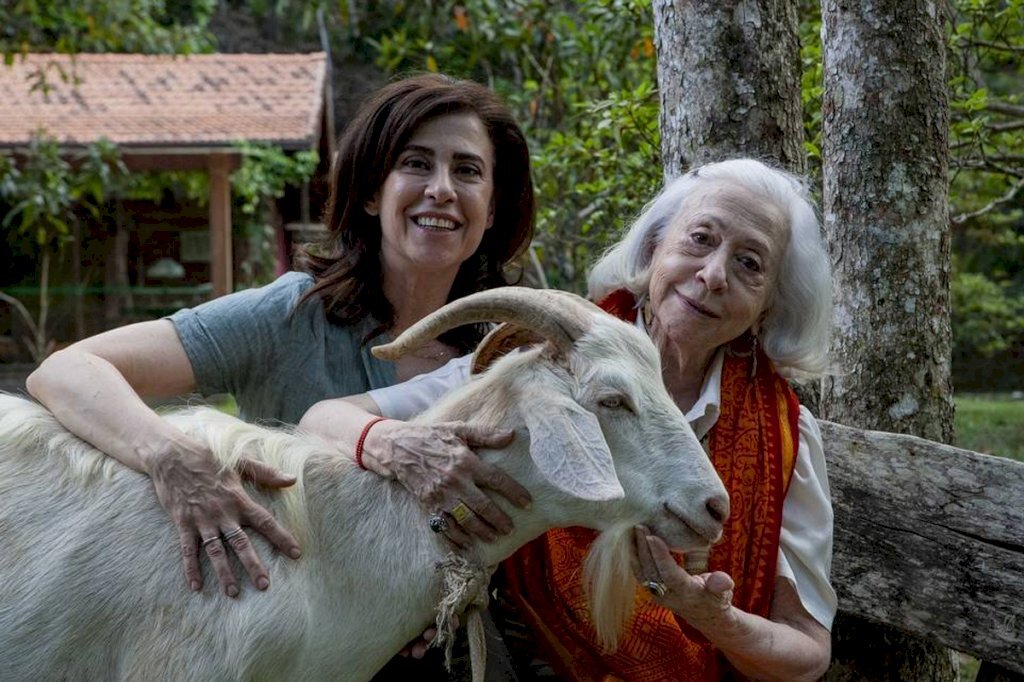 Especiais de final de ano e filmes para curtir o fim de 2020