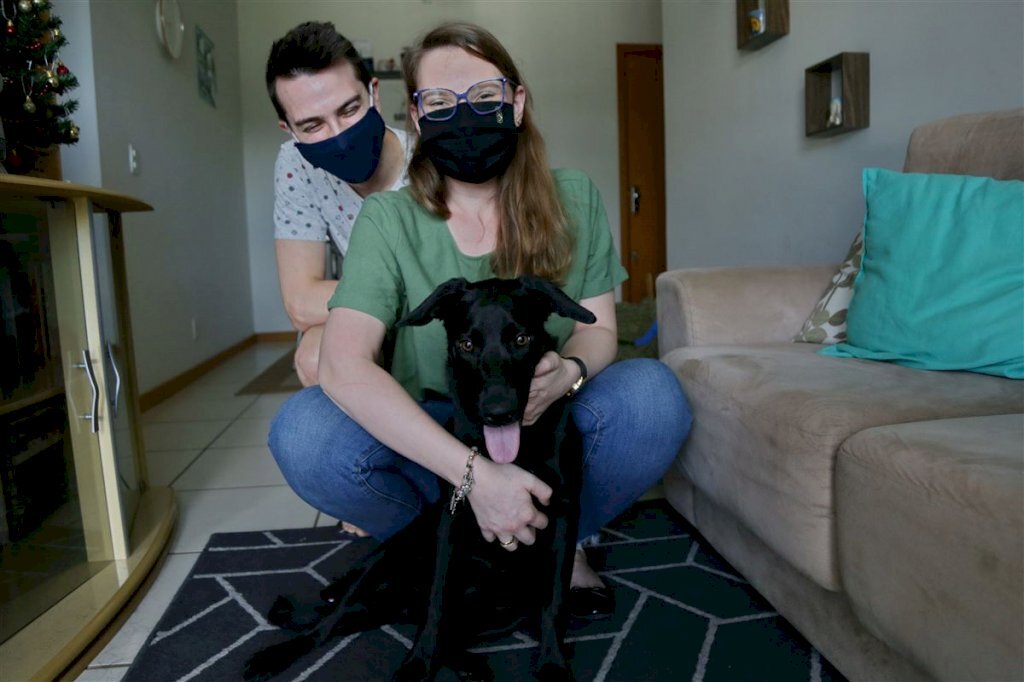 VÍDEO: adoção responsável é essencial para evitar abandono de animais