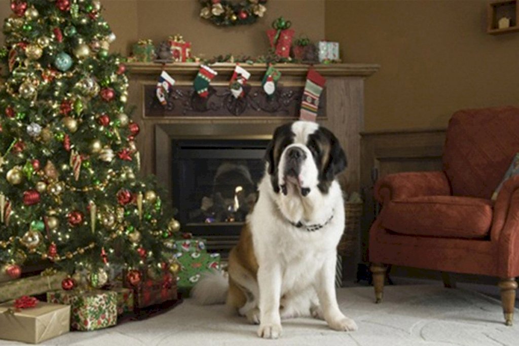 84 opções de filmes para curtir a sexta-feira