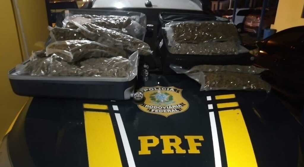 Santa-mariense é preso com mais de R$ 1 milhão em skunk em Rosário do Sul