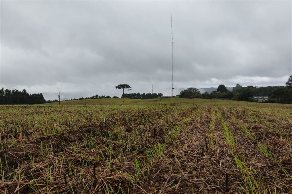 título imagem Saiba como fenômenos climáticos podem impactar no bolso do consumidor