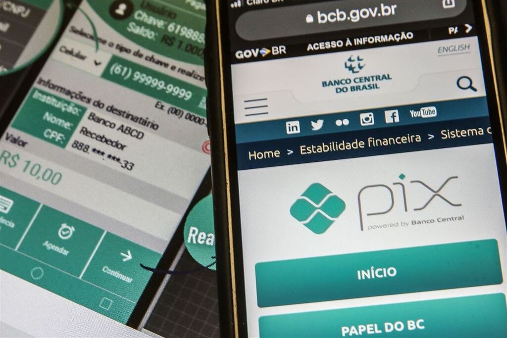 Foto: Marcelo Cassal (Agência Brasil) - 