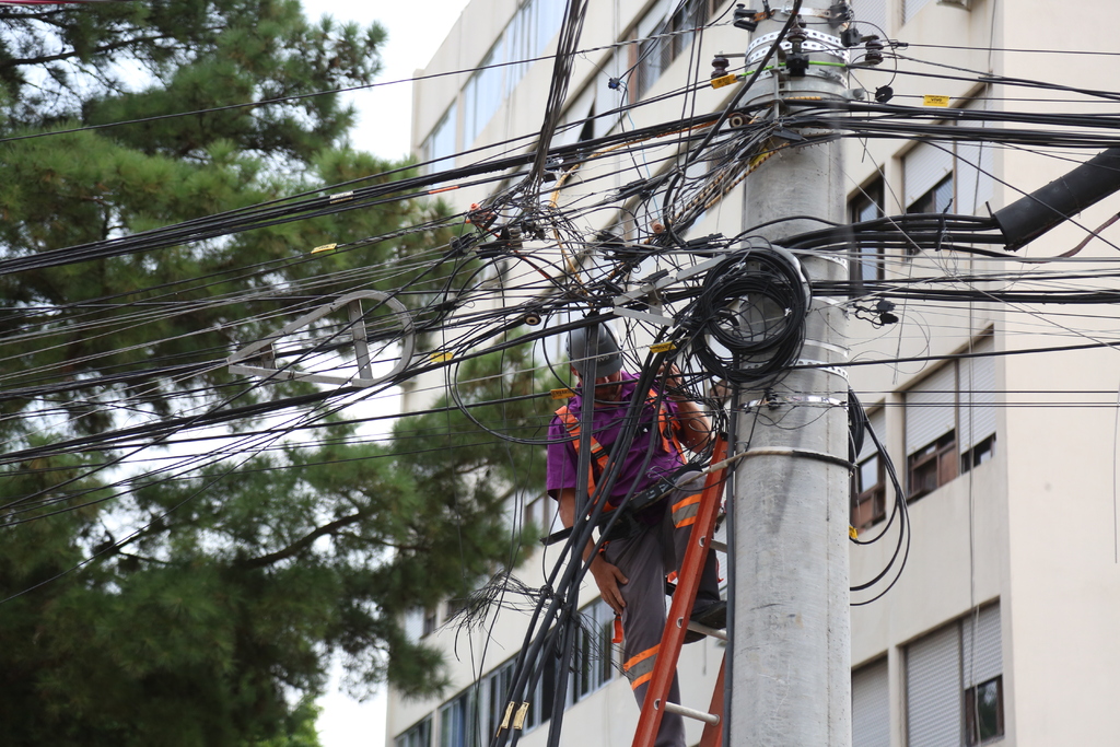 Foto: Marcelo Oliveira (arquivo Diário) - Em 2022, um dos mutirões realizados contemplou a limpeza dos fios na Avenida Fernando Ferrari