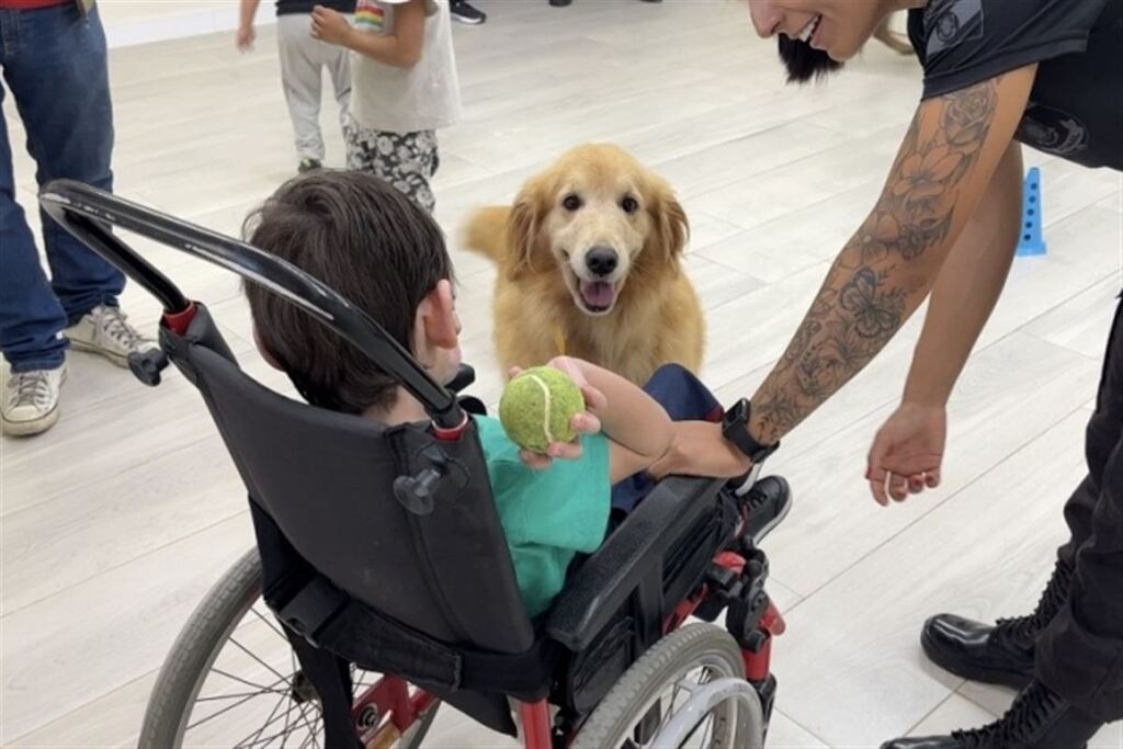 Canil da Susepe participa de projeto de cinoterapia junto à APAE de Santa Maria