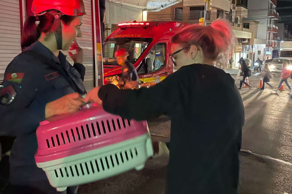 Galeria de imagens: Protetora dos animais confere a situação do gato após o resgate