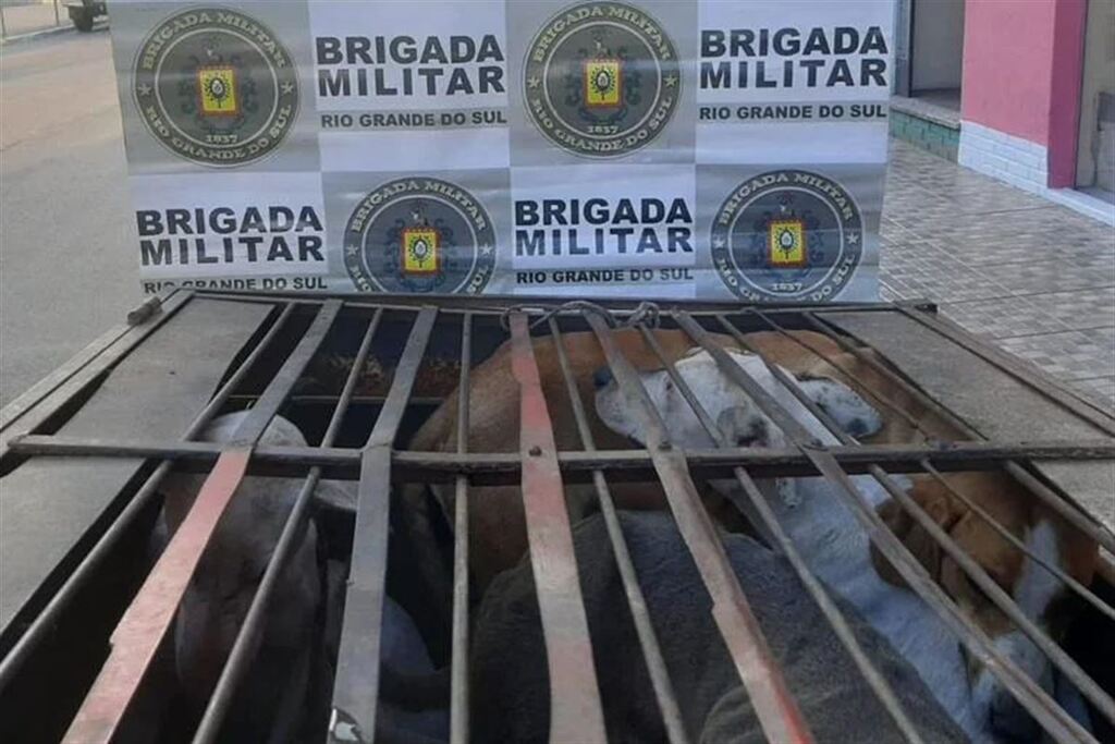 Caçador é preso por maus-tratos a animais e posse ilegal de munição em São Gabriel