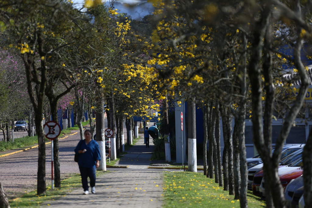 Quarta-feira será de tempo “de primavera em pleno inverno” em Santa Maria e região; confira a previsão para a semana