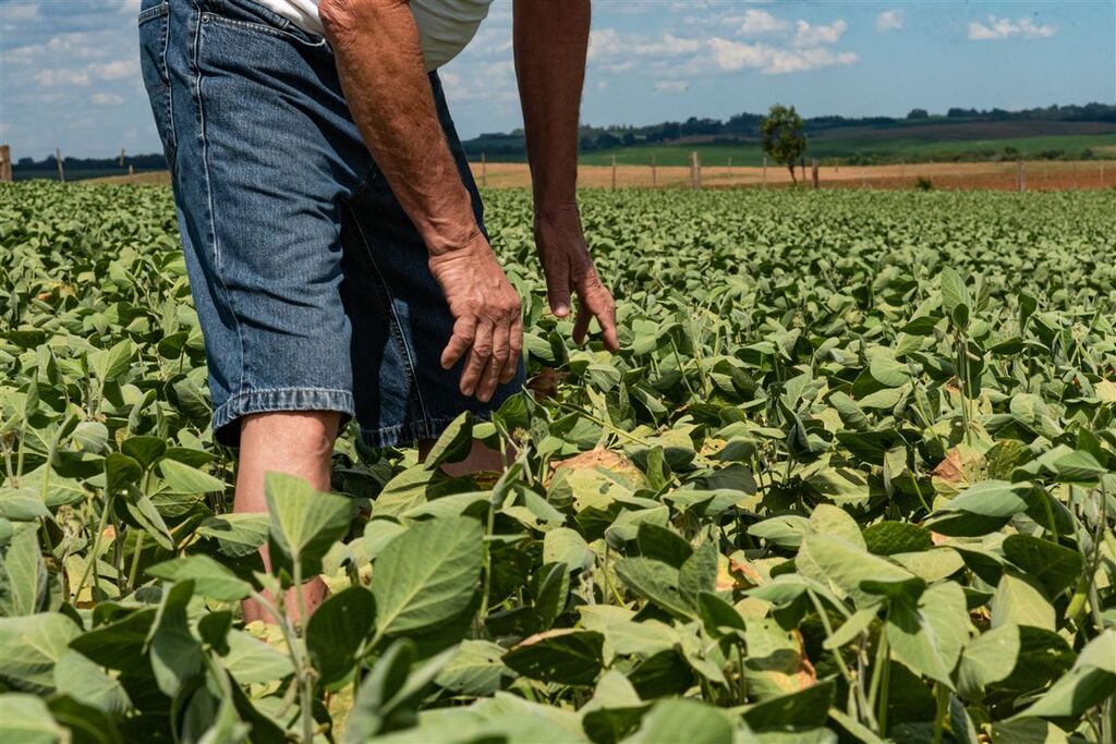 título imagem Câmara aprova auxílio municipal para agricultores familiares afetados pela estiagem