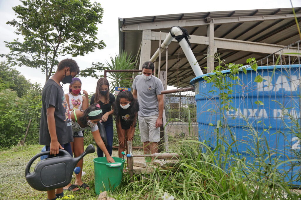 título imagem Comunidade escolar se une para cuidar de horta comunitária