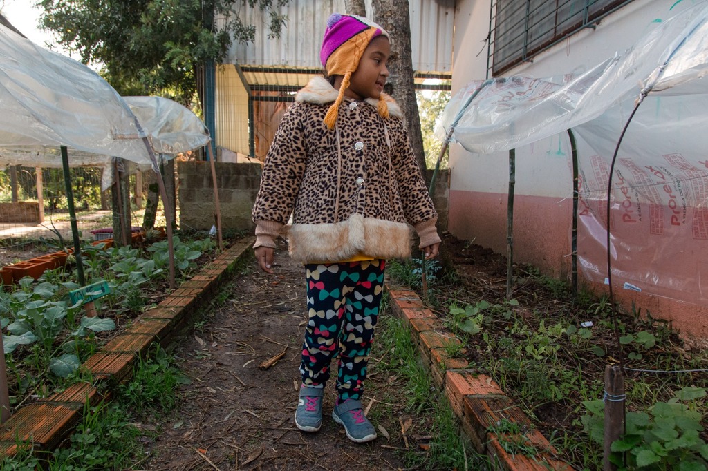 Alunos, pais e gestão escolar inauguram horta na Emef Sérgio Lopes, bairro Renascença