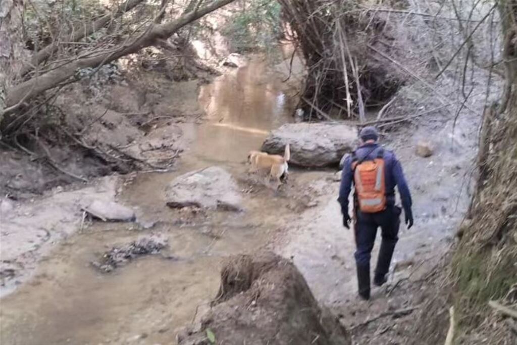Seguem as buscas por homem desaparecido em cidade da região