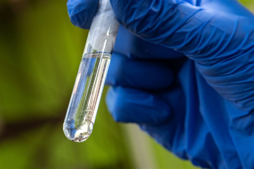 título imagem Com mais de 3,5 mil casos de dengue, Santa Maria chega a registrar índice quase 21 vezes maior do que 2022