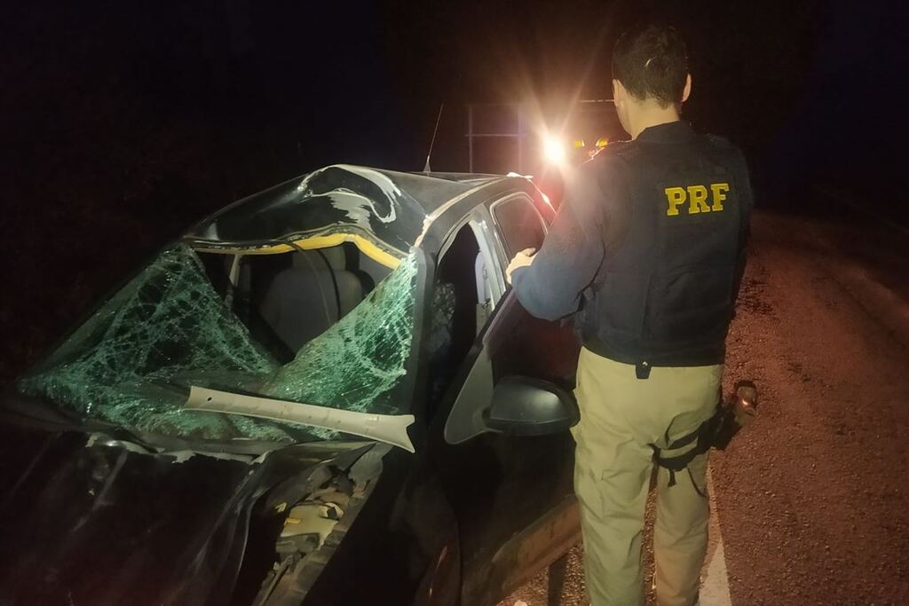 Motorista fica ferido ao atropelar cavalo em rodovia de Santa Maria