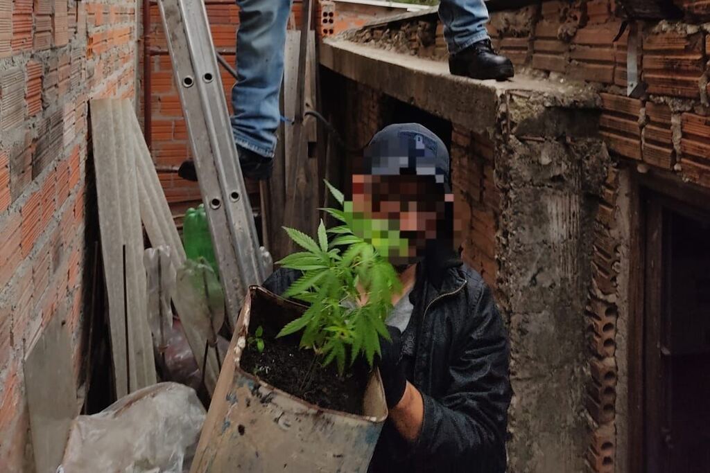 Dupla suspeita de roubar veículo é presa com pé de maconha em Santa Maria