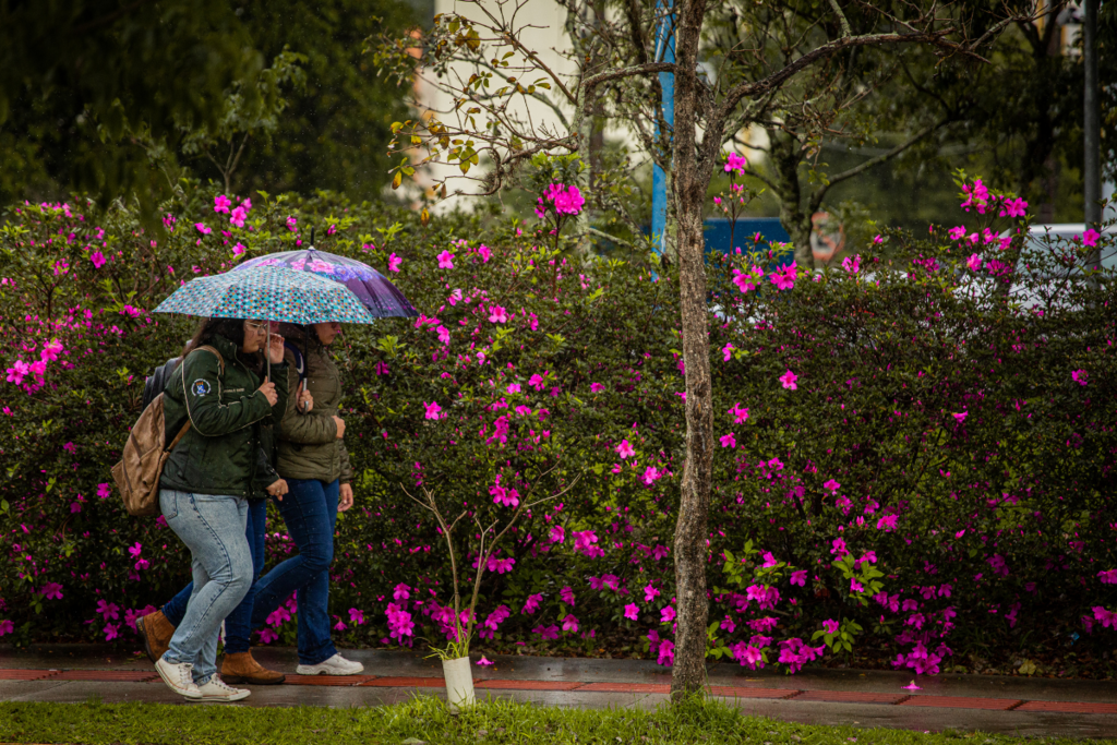 título imagem Chuva e frio marcam o início da semana em Santa Maria e região; confira a previsão para a semana