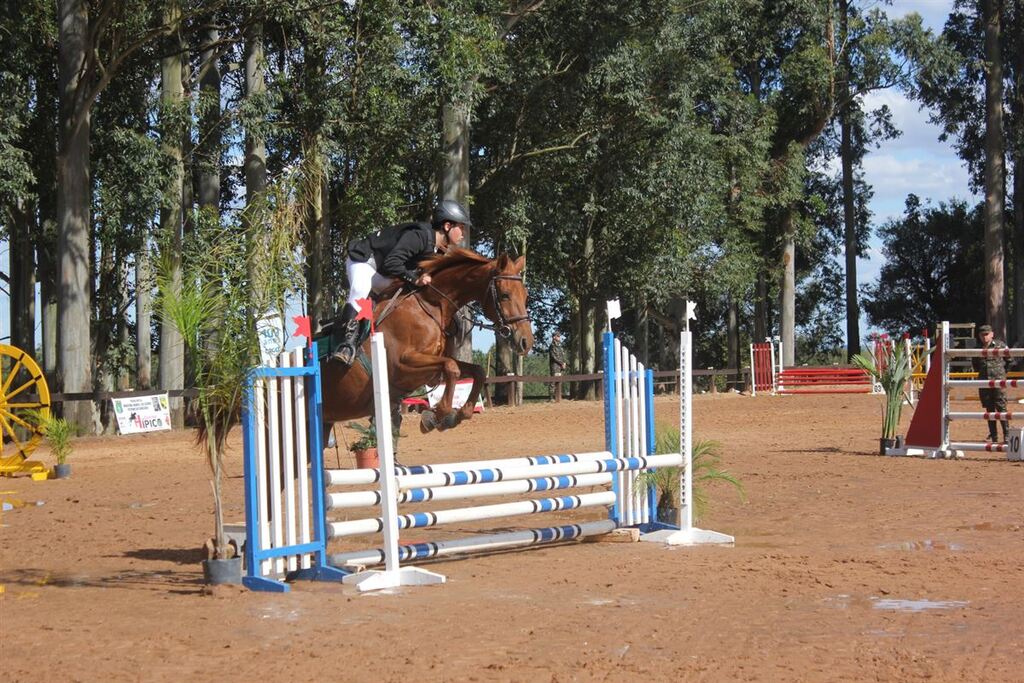 Santa Maria sedia competição de hipismo neste final de semana